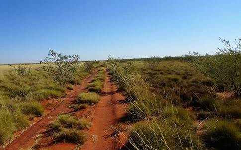 Dirt Road
